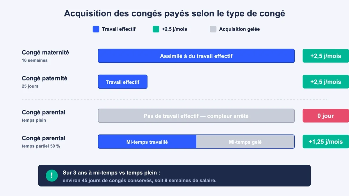 Schéma comparatif du congé parental et du congé maternité avec différences sur l'acquisition des congés payés